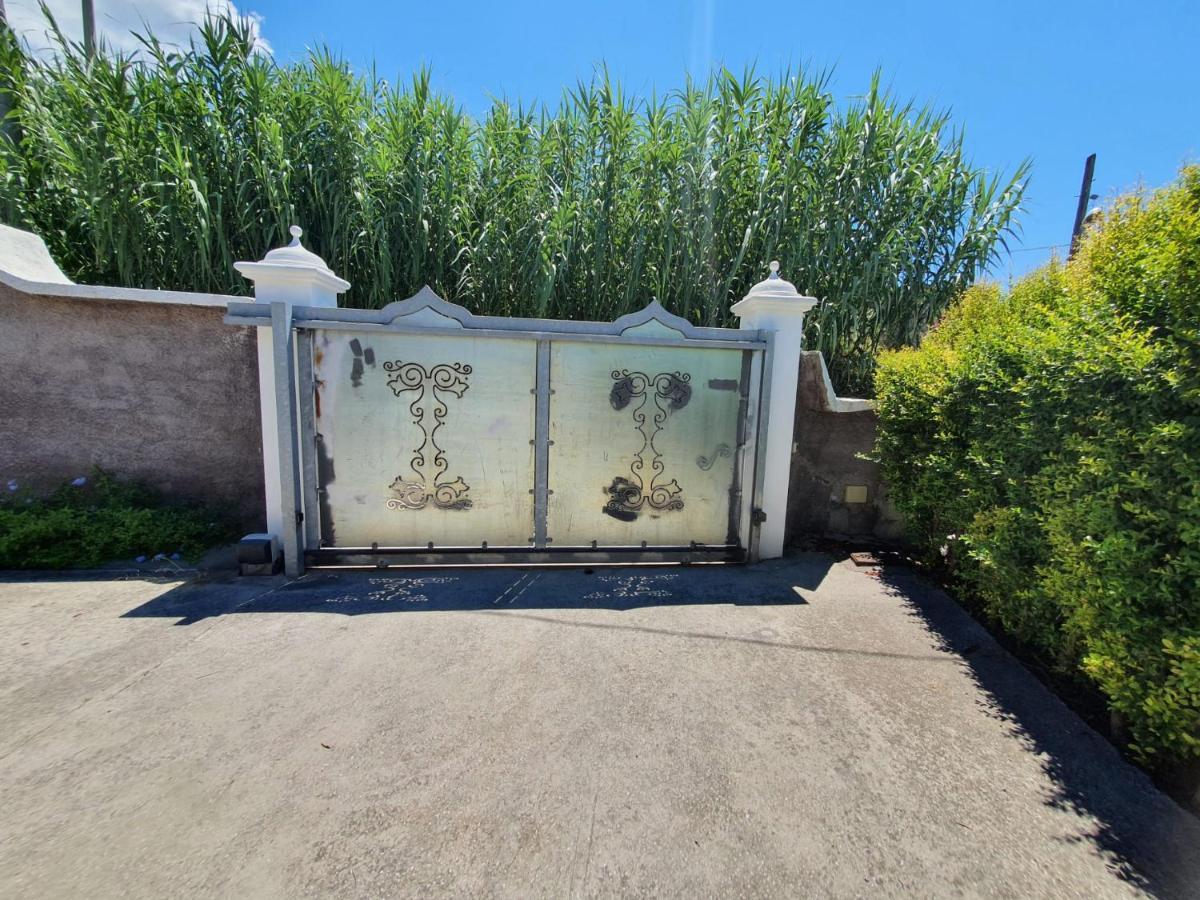 Exclusive Luxury Villa In Forio Forio di Ischia Zewnętrze zdjęcie